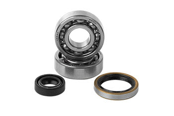 Engine Bearings