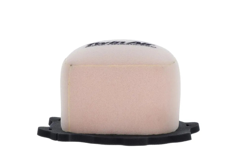Twin Air Air Filter