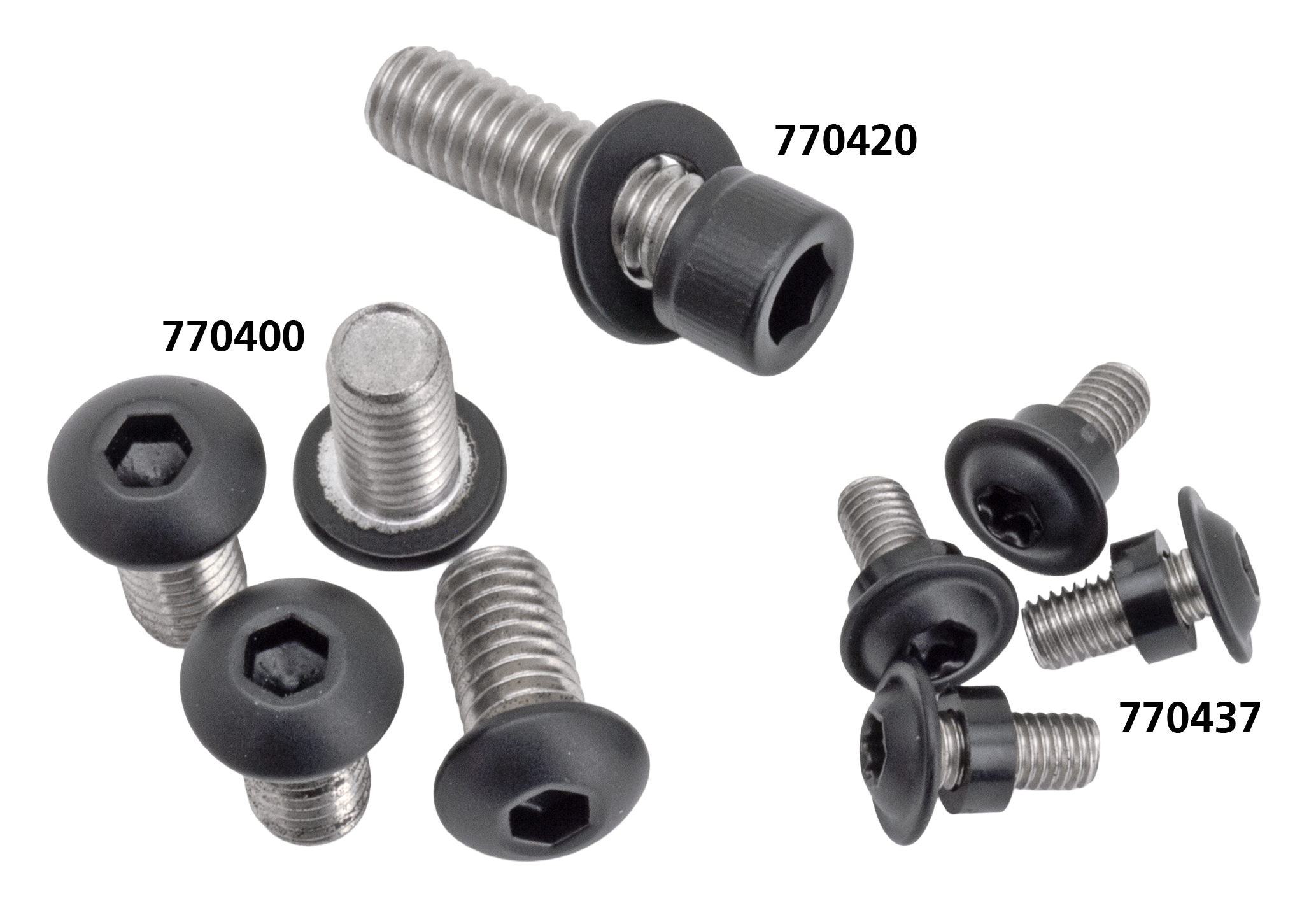 Screws4Bikes Black Belt Guard Screw Kits – Final Drive