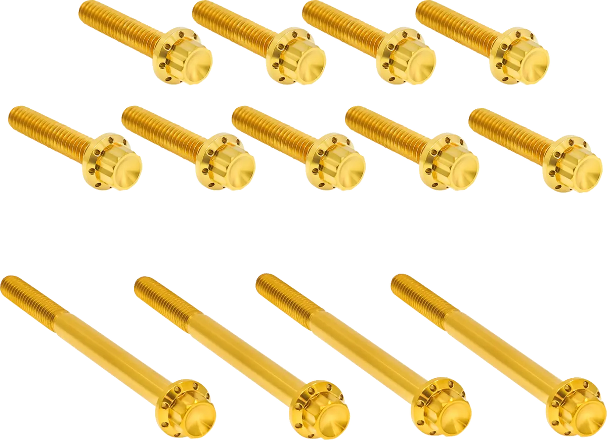 Arlen Ness Titanium 12-Point Primary Cover Bolt Kit Gold Twin
