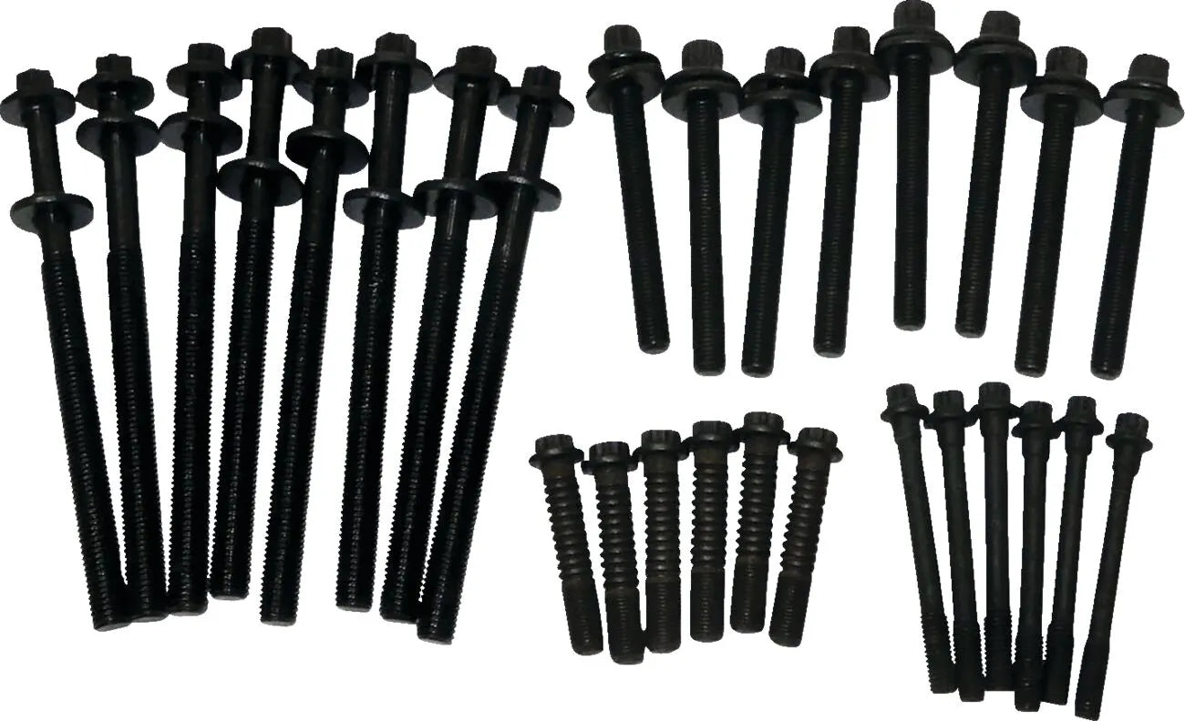 WSM Engine Bolt Kit