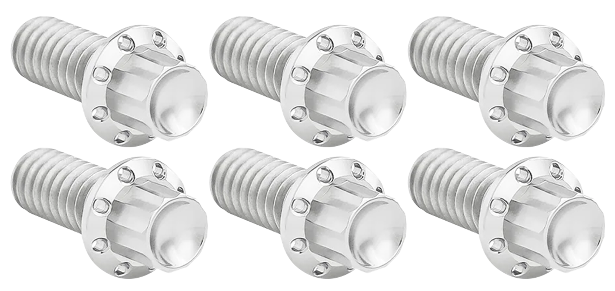 Arlen Ness Derby Cover Titanium 12-POINT Bolt Kits – Hardware
