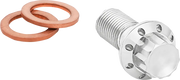 Arlen Ness Titanium 12-Point Banjo Bolt for 3/8-24