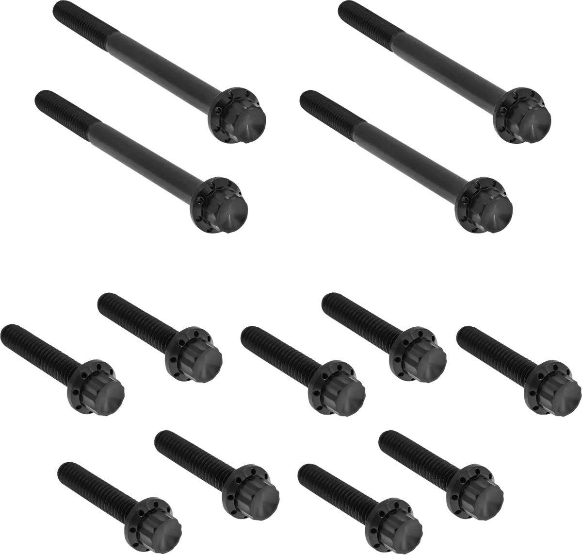 Arlen Ness Titanium 12-Point Primary Cover Bolt Kit Black for FLT