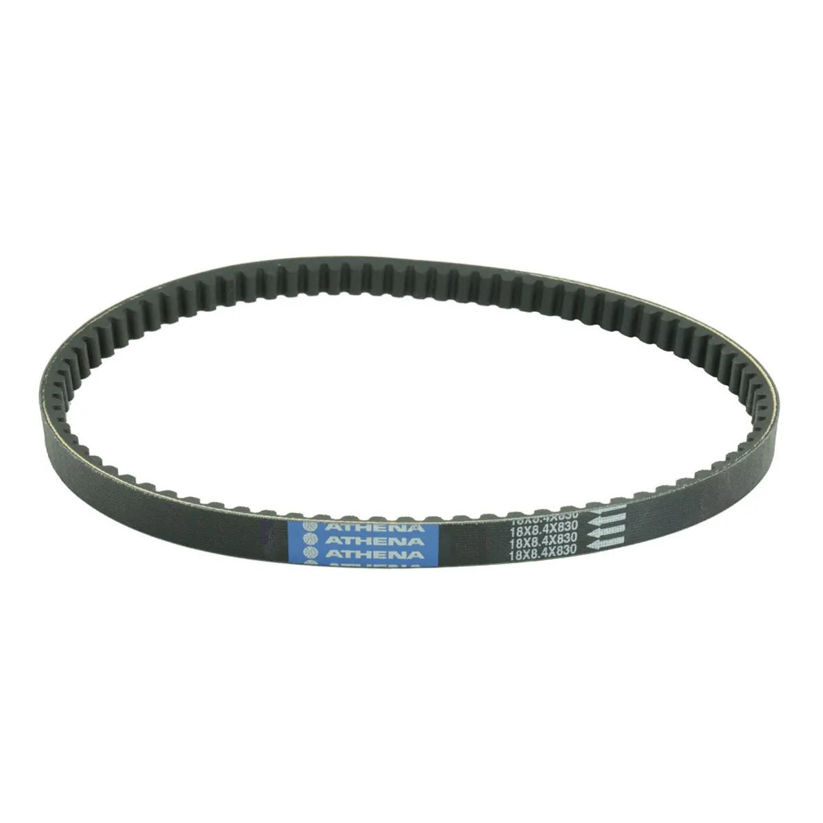 Athena Drive Belt Standard - High Performance
