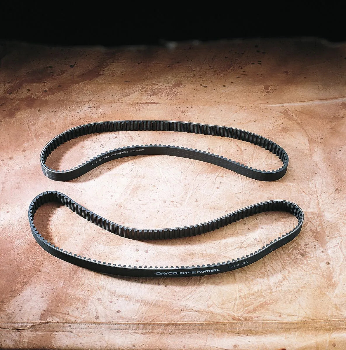 Panther Rear Drive Belt - High-performance