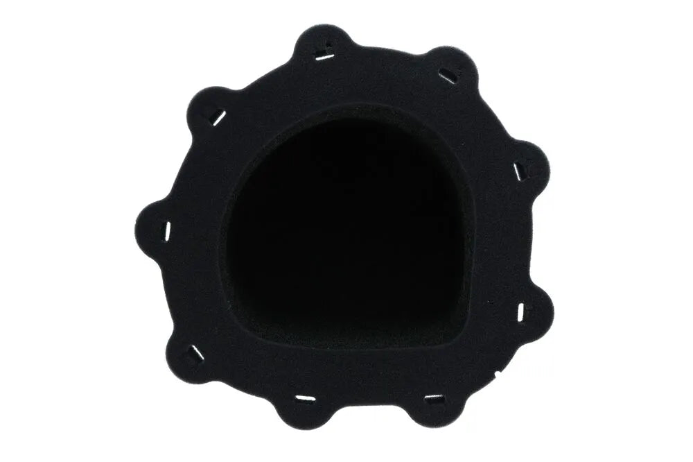 Twin Air Air Filter