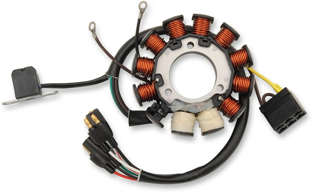 Rick's Motorsport Electric Polaris Stator