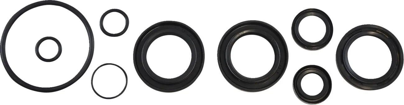 Vintco Oil Seal Kit for Lower End Engine Rebuild