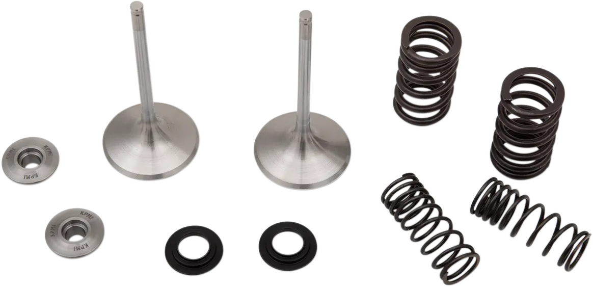 Moose Offroad Intake Valve And Spring Kit