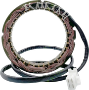 Rick's Motorsport Electric Stator