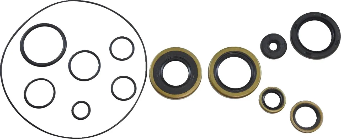 Vintco Oil Seal Kit for Engine Lower End