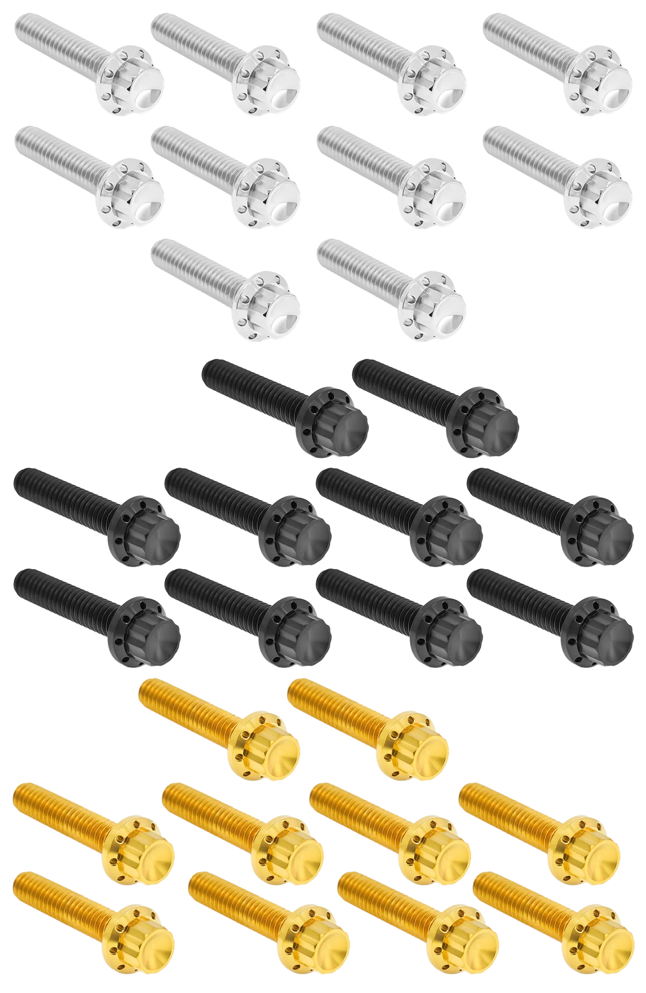 Arlen Ness Cam & Point Cover Titanium 12-POINT Bolt Kits – Hardware