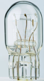 Flosser Filament Glass Wedge Bulbs - 12v