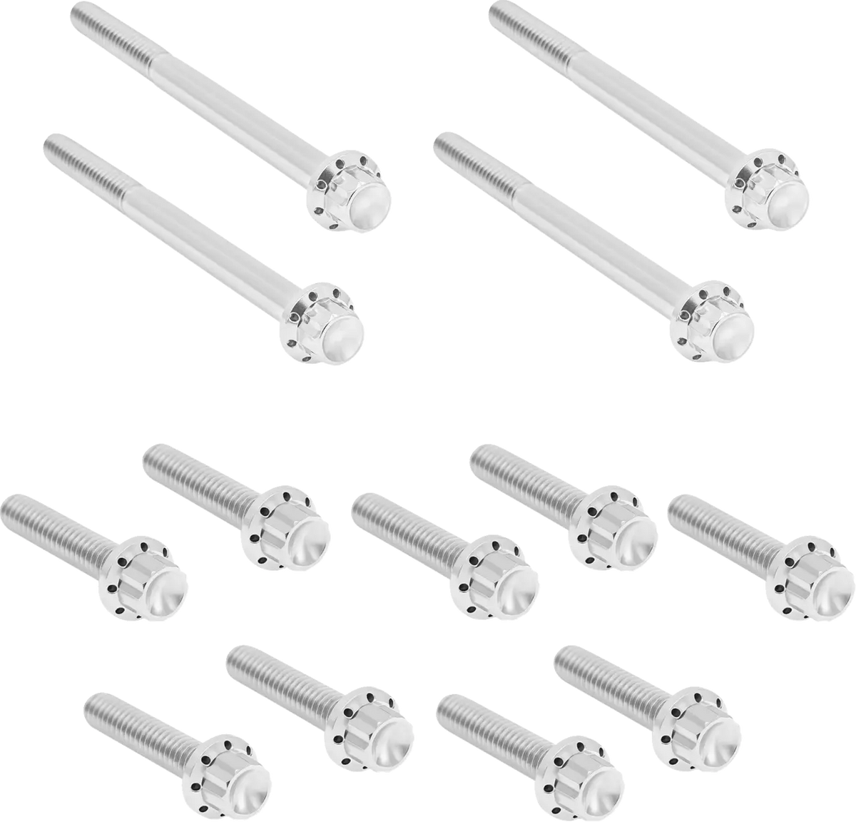 Arlen Ness Titanium 12-Point Primary Cover Bolt Kit Polished FLT