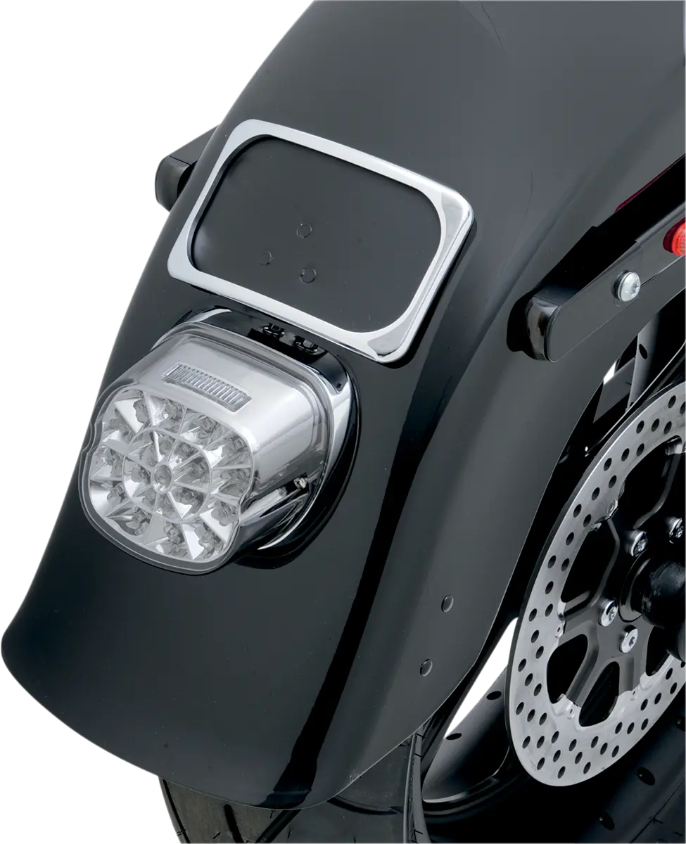 Drag Specialties Web Led Taillight - Smoke Lens