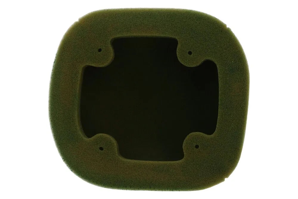Twin Air Pre-oiled Air Filter