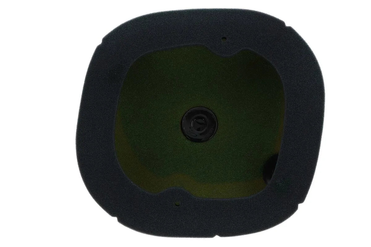 Twin Air Pre-oiled Air Filter