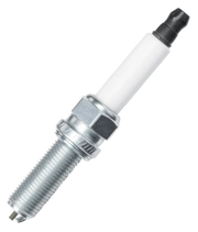 Zodiac Champion Spark Plugs – Engine Electrics
