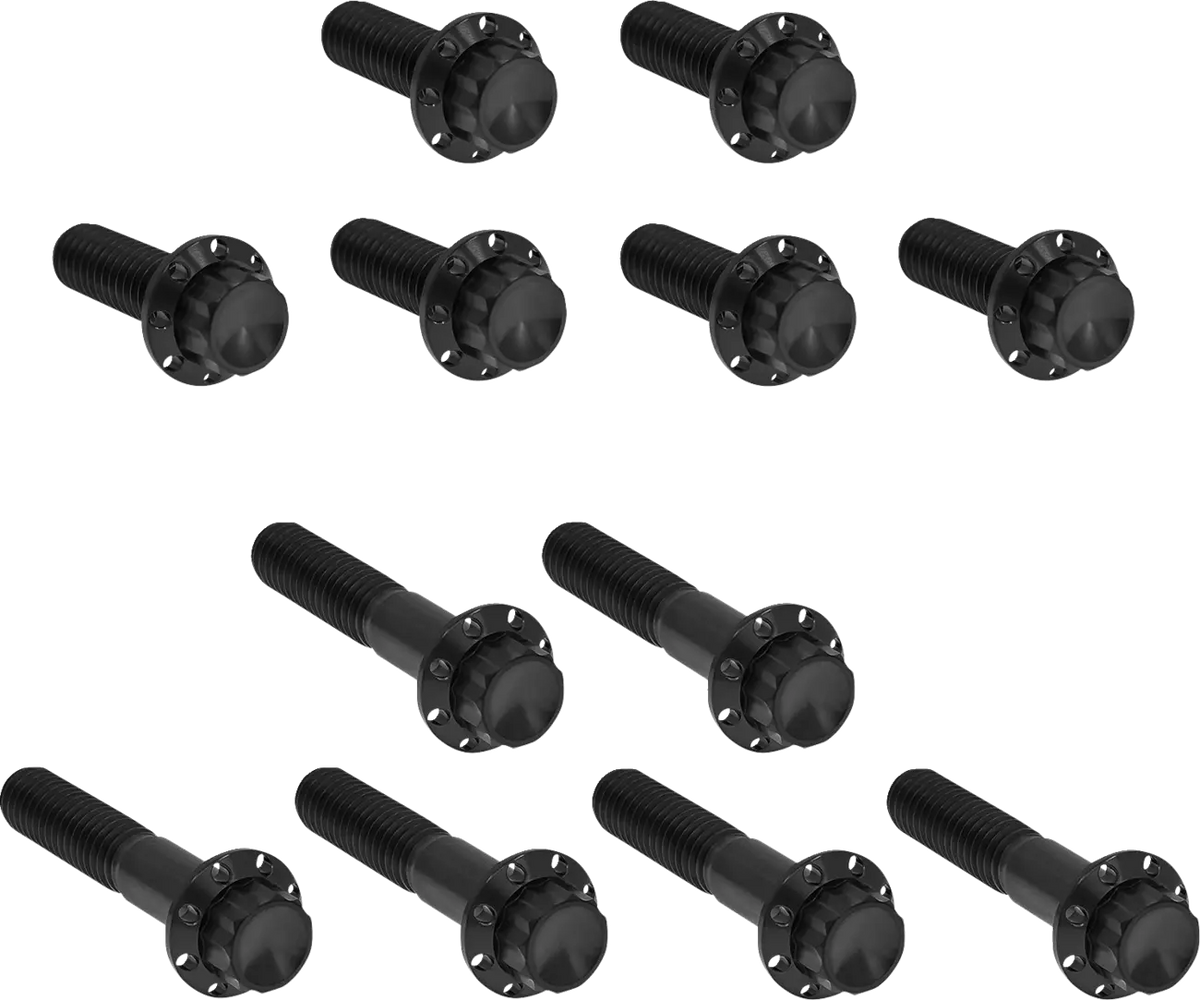 Arlen Ness 12-Point Titanium Rocker Box Bolt Kit Black TC 00-17