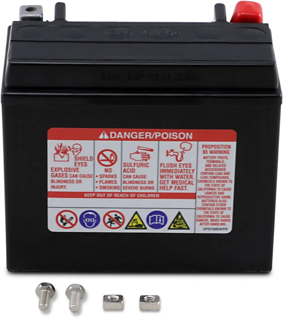 Yuasa AGM Maintenance-Free Motorcycle Battery