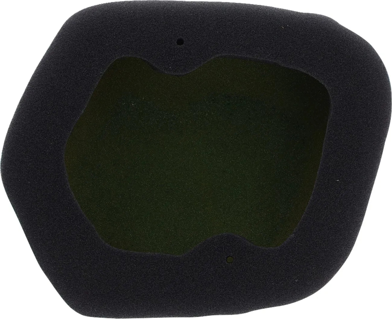 Twin Air Factory Pre-oiled Air Filter