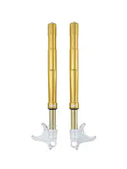OHLINS FGRT 232 Front Fork for BMW S/M1000 RR
