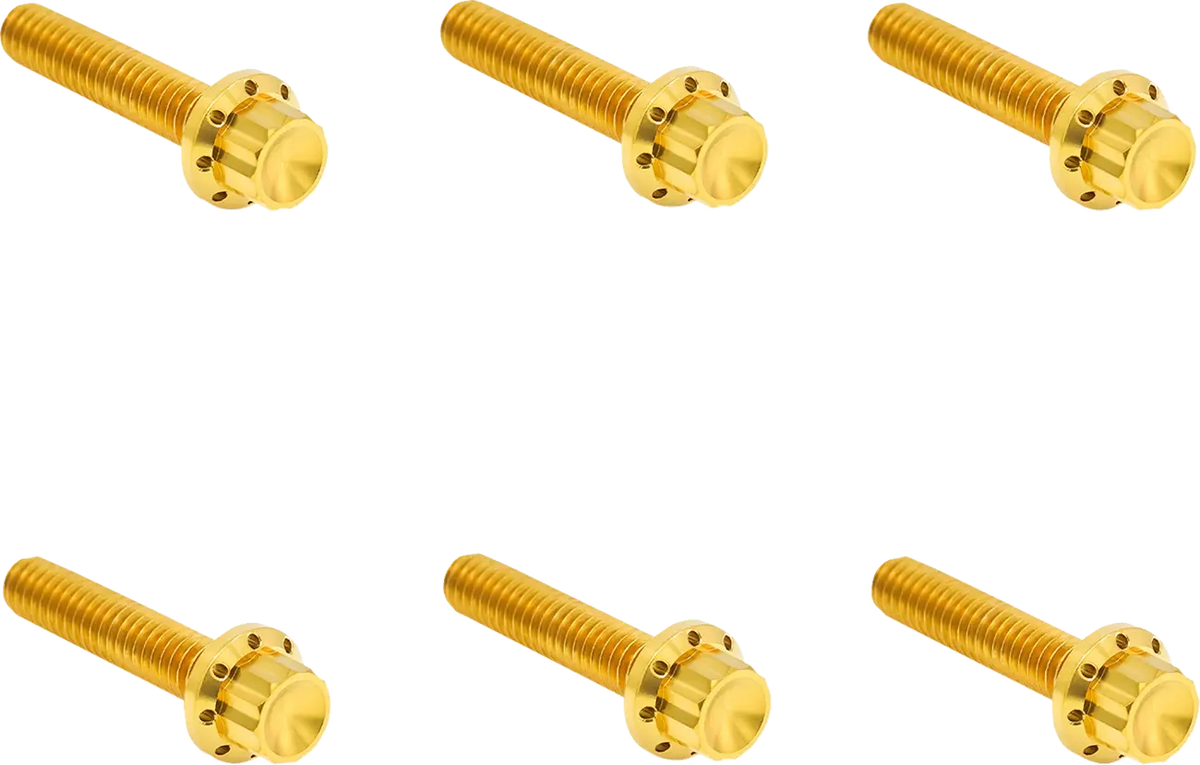 Arlen Ness Titanium 12-Point M8 Gold Transmission Cover Bolt Kit
