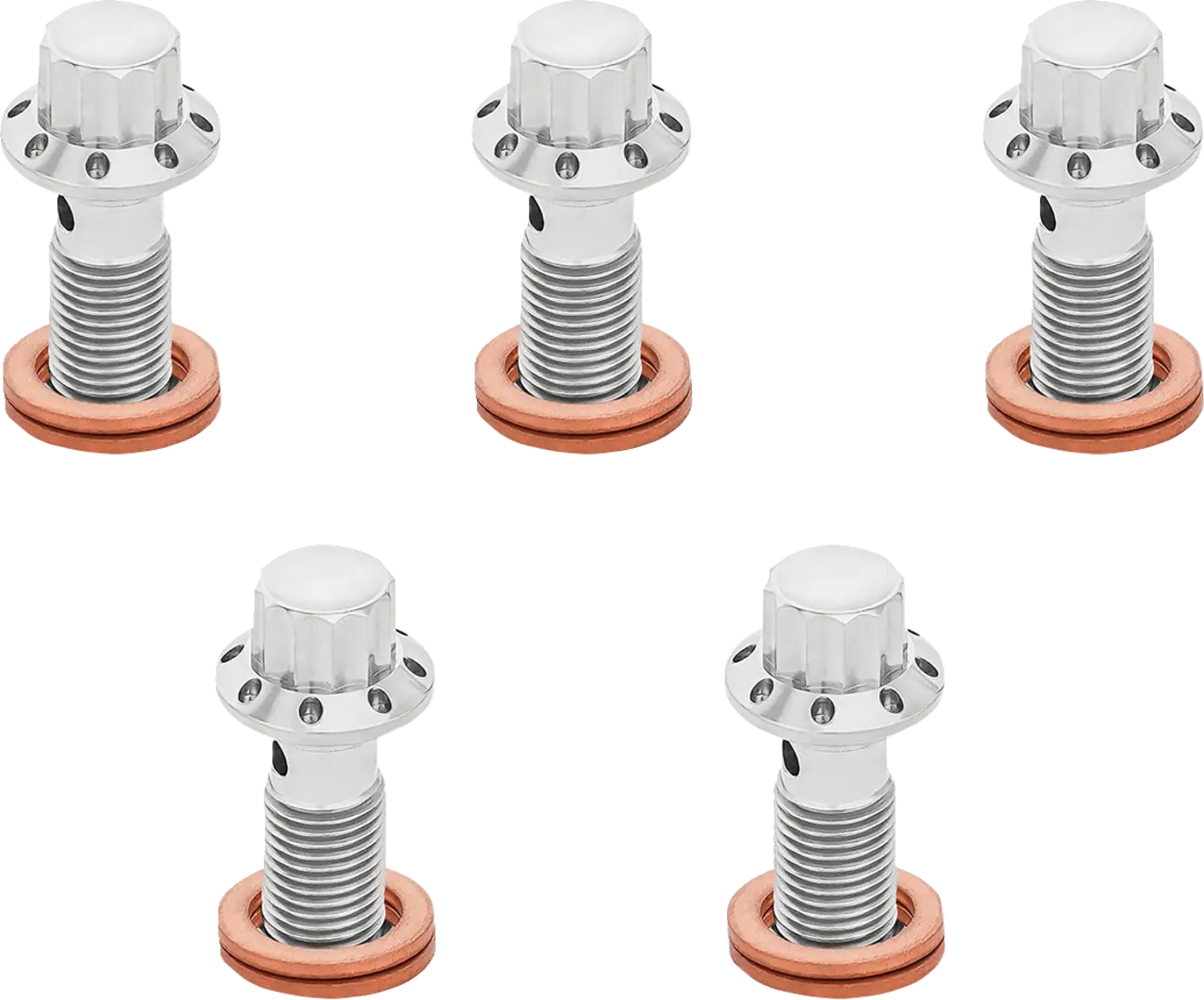 Arlen Ness Titanium Banjo Bolt for M10 x 1.0