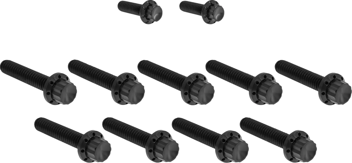 Arlen Ness Titanium 12-Point M8 Bolt Kit Black for FLT 2017-2023