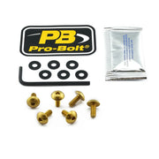 Pro Bolt Aluminium Screen Bolt Kit - Gold