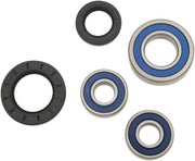 ALL BALLS Rear Wheel Bearing Kit