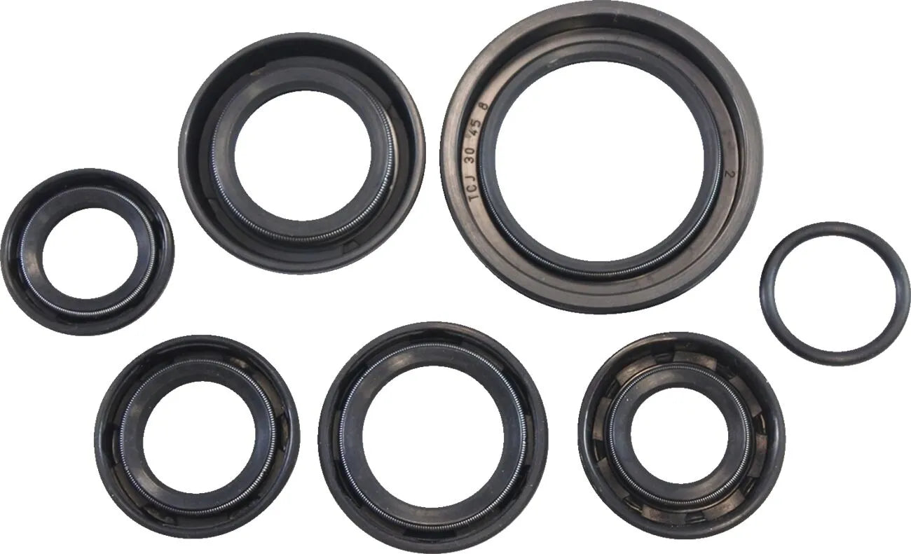 Vintco Oil Seal Kit for Engine Lower End