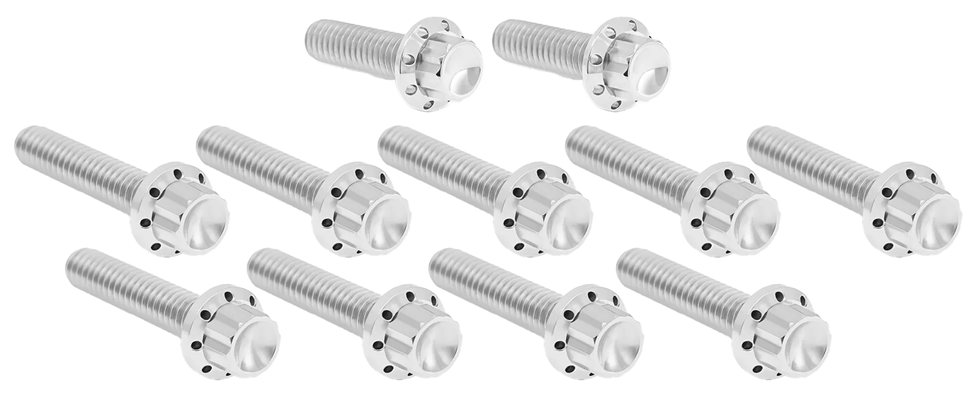 Arlen Ness Cam & Point Cover Titanium 12-POINT Bolt Kits – Hardware