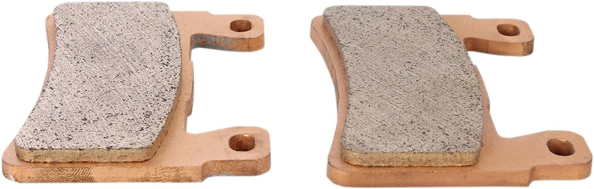 DP Brakes Sintermetall Bremsbeläge Für Harley-Davidson/Buell - Vorne