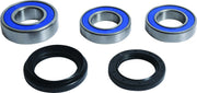 ALL BALLS Wheel Bearing Kit