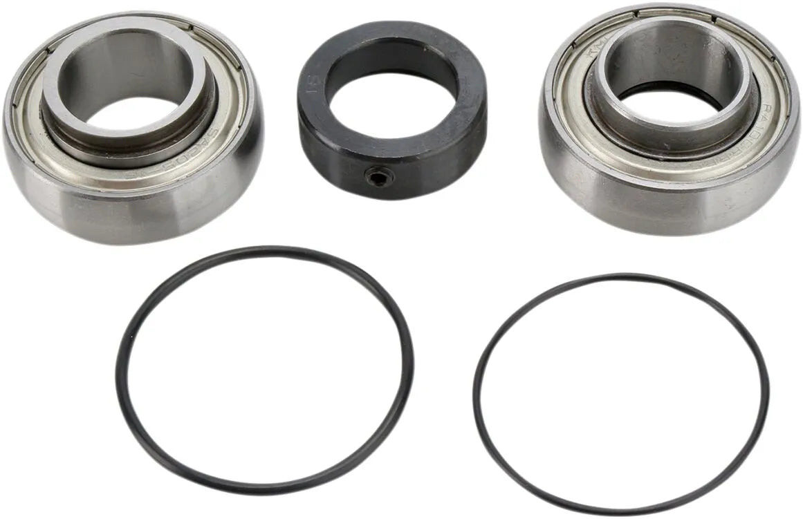 All Balls Chain Case Bearing and Seal Kit