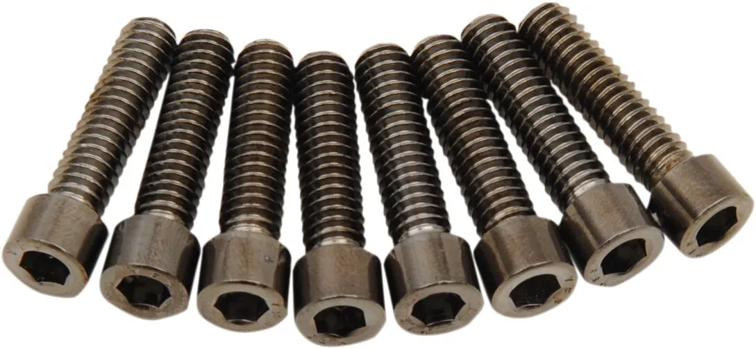 Drag Specialties M8 Bolt Kit for Harley Davidson Road Glide