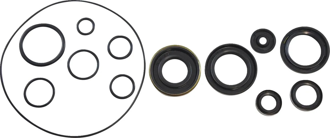 Vintco Oil Seal Kit for Engine Lower End