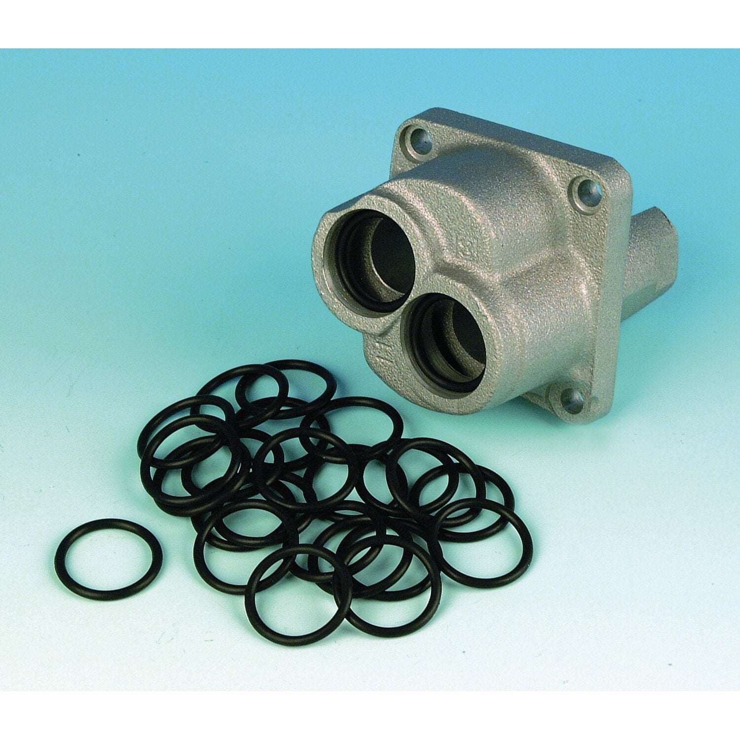James Gaskets James pushrod cover O-ring - Lower