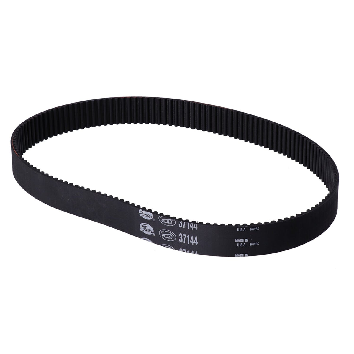 Belt Drives Ltd. repl - primary belt - 1-1/2" 144T 8mm pitch