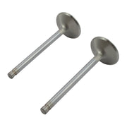 Manley Severe Duty stainless valves exhaust - Conversion
