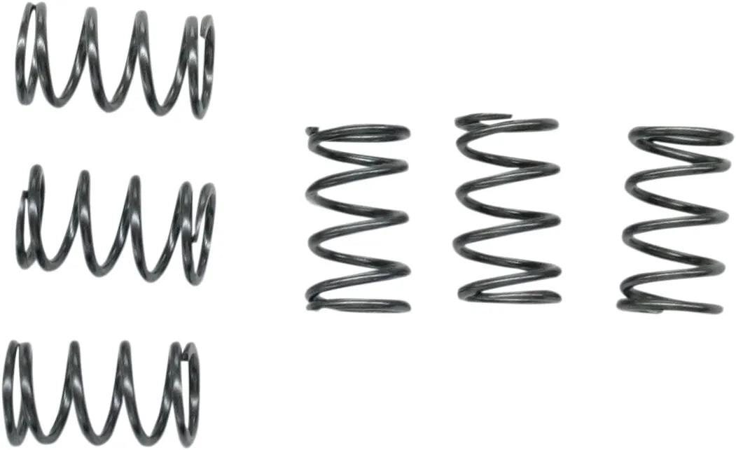 Ebc Clutch Springs