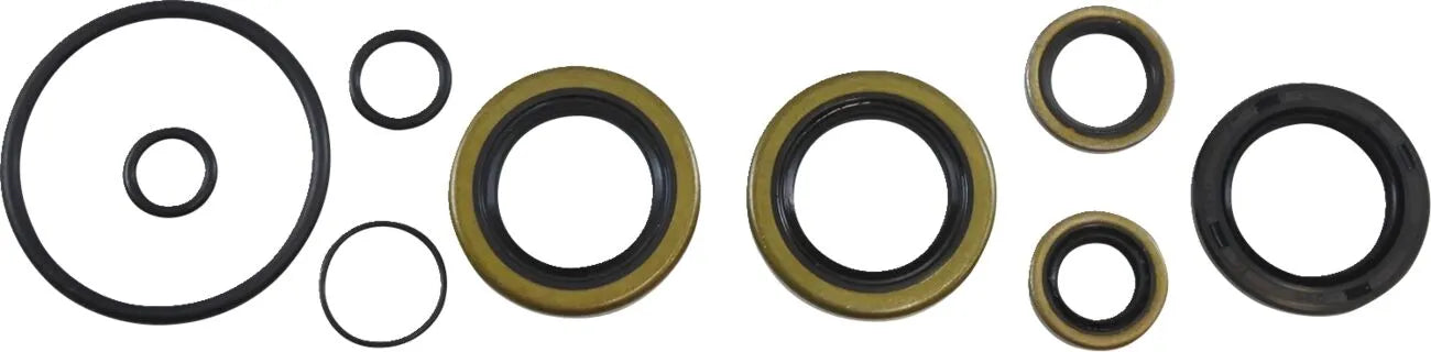 Vintco Oil Seal Kit for Lower End Engine Rebuild