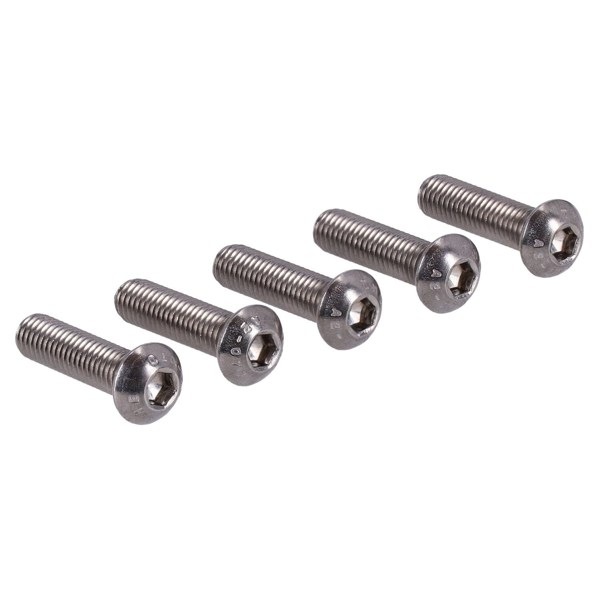 Gardner-Westcott M6 x 16mm buttonhead bolt stainless