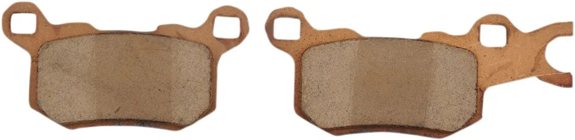 DP Brakes Atv/utv Sintermetall-Bremsbeläge - Hinten