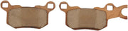 DP Brakes Atv/utv Sintermetall-Bremsbeläge - Hinten