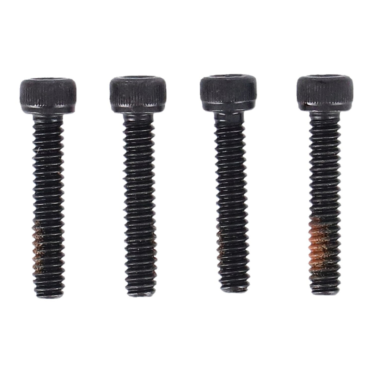 Cycle Electric Alternator stator unmolded