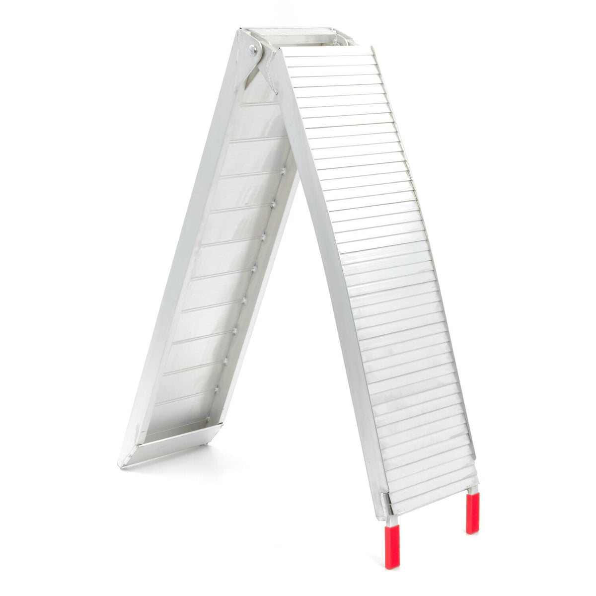 AceBikes foldable ramp