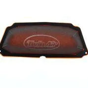 Twin Air Air Filter